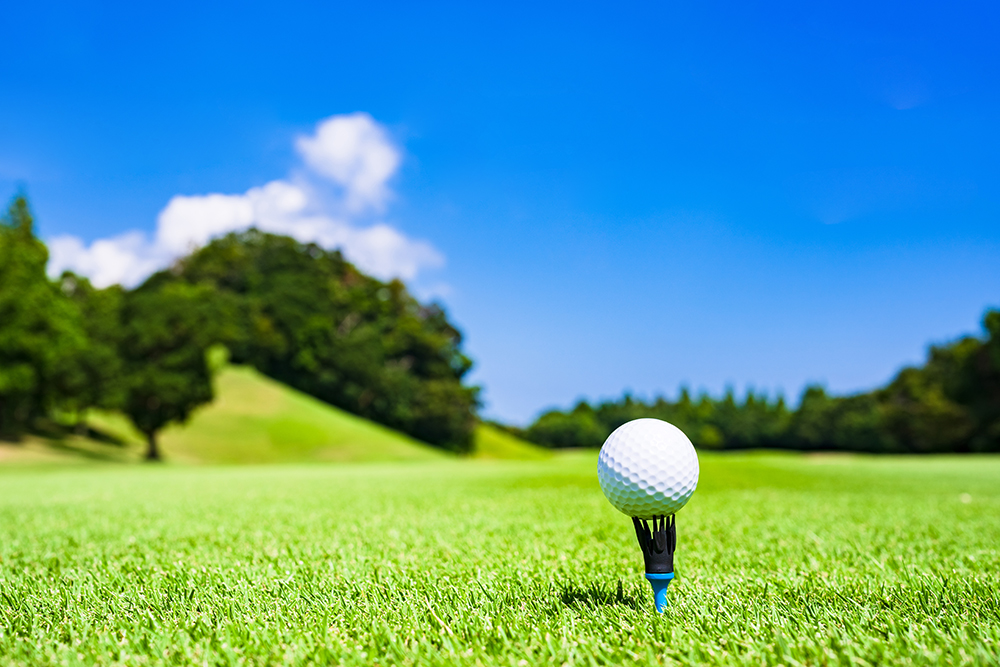 ゴルフプレー優待あり